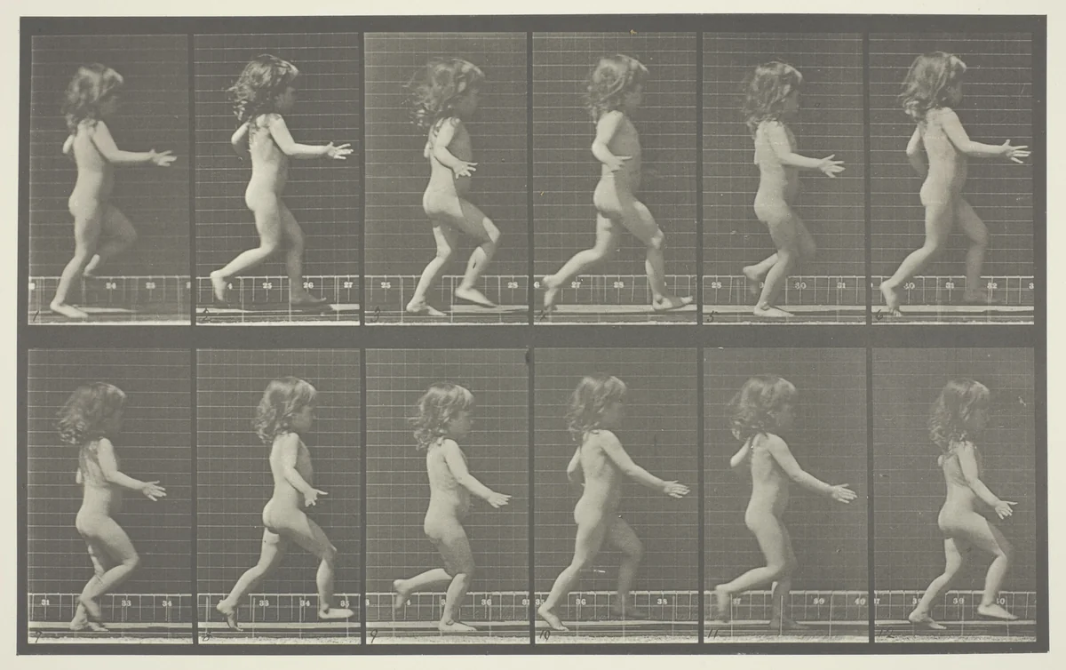 Animal Locomotion, Plate 469 by Eadweard Muybridge, photograph, 1887