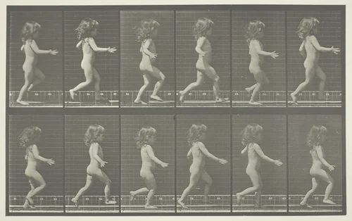 Animal Locomotion, Plate 469 by Eadweard Muybridge, photograph, 1887