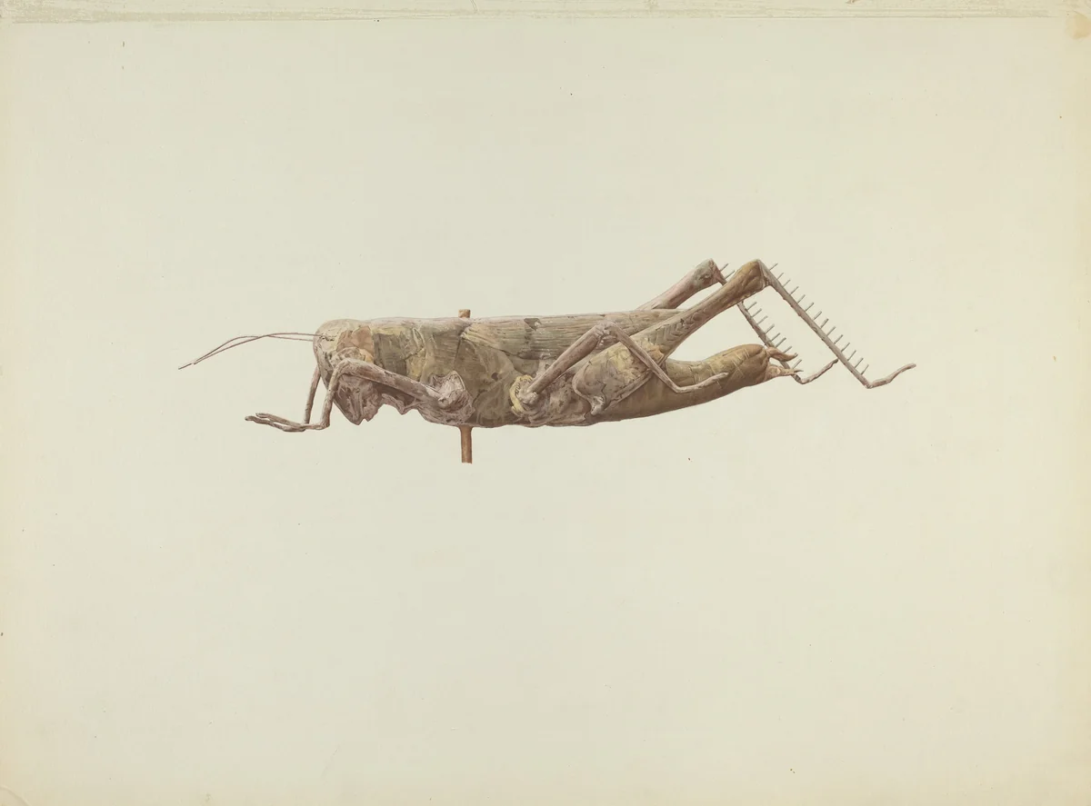 Grasshopper Weather Vane by Joseph Goldberg, index of american design, 1936