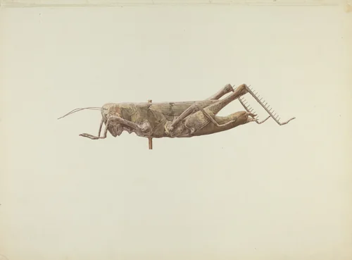 Grasshopper Weather Vane by Joseph Goldberg, index of american design, 1936