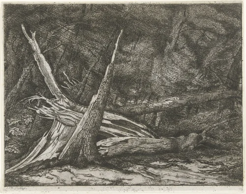 Gevelde bomen na een storm by Jacobus Ludovicus Cornet, print, 1853-1882