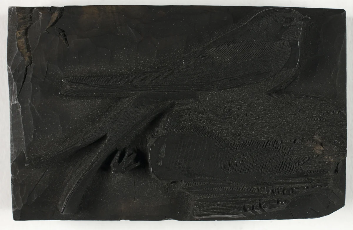 Woodblock for The Swallow, from A History of British Birds by Thomas Bewick, print, 1792-1797