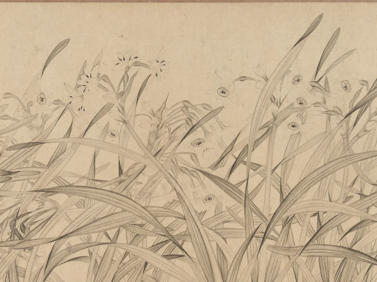 Narcissus by Zhao Mengjian, painting, 1234-1266