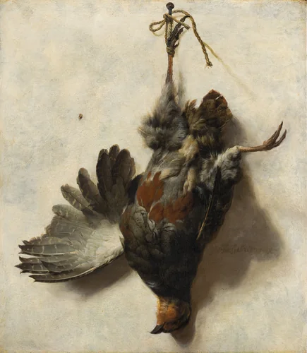 Dead Partridge Hanging from a Nail by Jan Baptist Weenix, painting, 1650