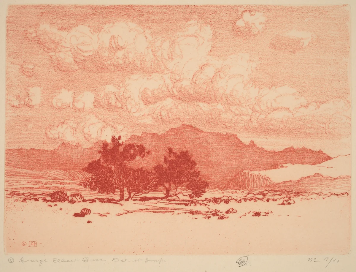Palo Verde Trees by George Elbert Burr, print, 1915-1925