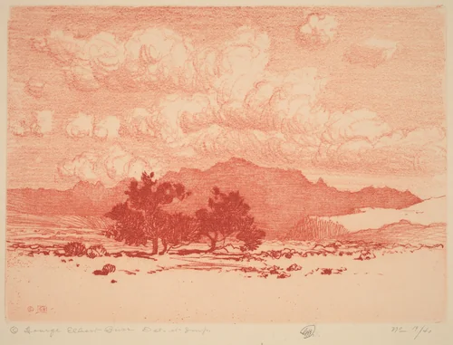 Palo Verde Trees by George Elbert Burr, print, 1915-1925