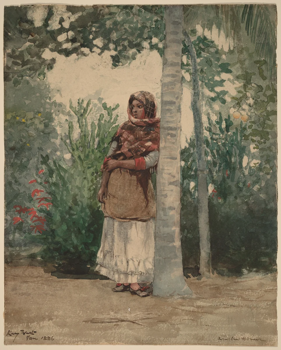 Under a Palm Tree by Winslow Homer, drawing, 1886