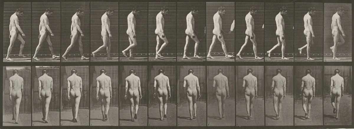 Plate Number 549. Locomotor ataxia, walking by Eadweard Muybridge, photograph, 1887