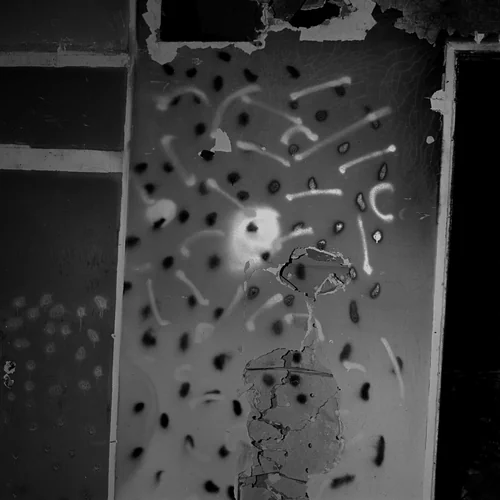 74V07 by John Divola, photograph, 1973-1975