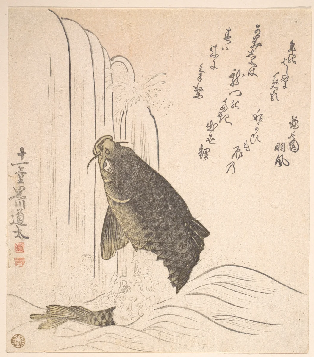 Carp Trying to Swim up a Waterfall by Kurokawa Michita, print, 1820