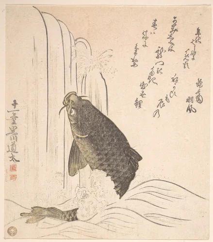 Carp Trying to Swim up a Waterfall by Kurokawa Michita, print, 1820