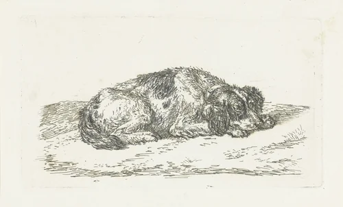 Slapende hond met kop rustend op voorpoten by Jan Dasveldt, print, 1780-1855