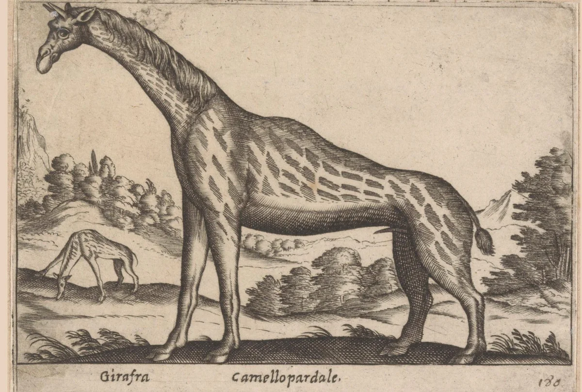 Giraffe by Antonio Tempesta, print, 1565-1630