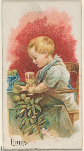 Limes, from the Fruits series (N12) for Allen & Ginter Cigarettes Brands by Allen & Ginter, print, 1891