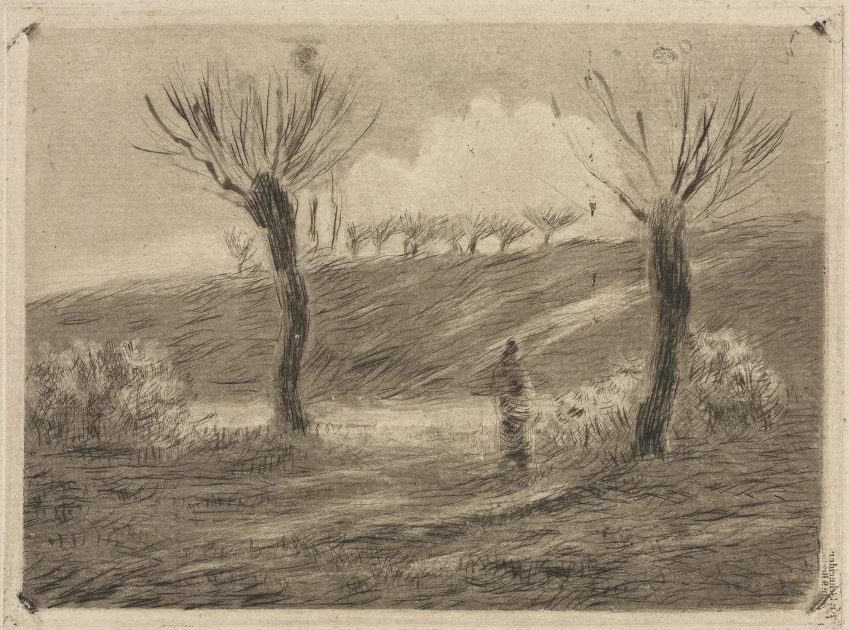 Setting Sun by Camille Pissarro, print, 1879