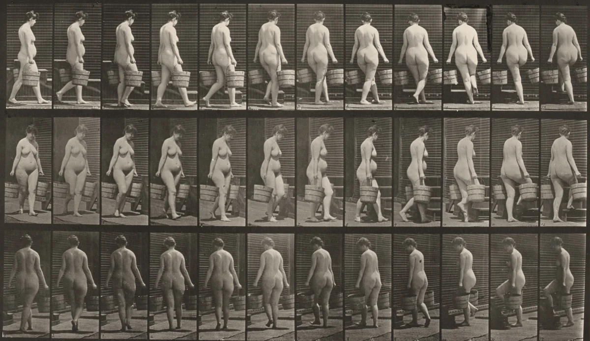Plate Number 106. Turning to ascend stairs with a bucket of water in each hand by Eadweard Muybridge, photograph, 1887