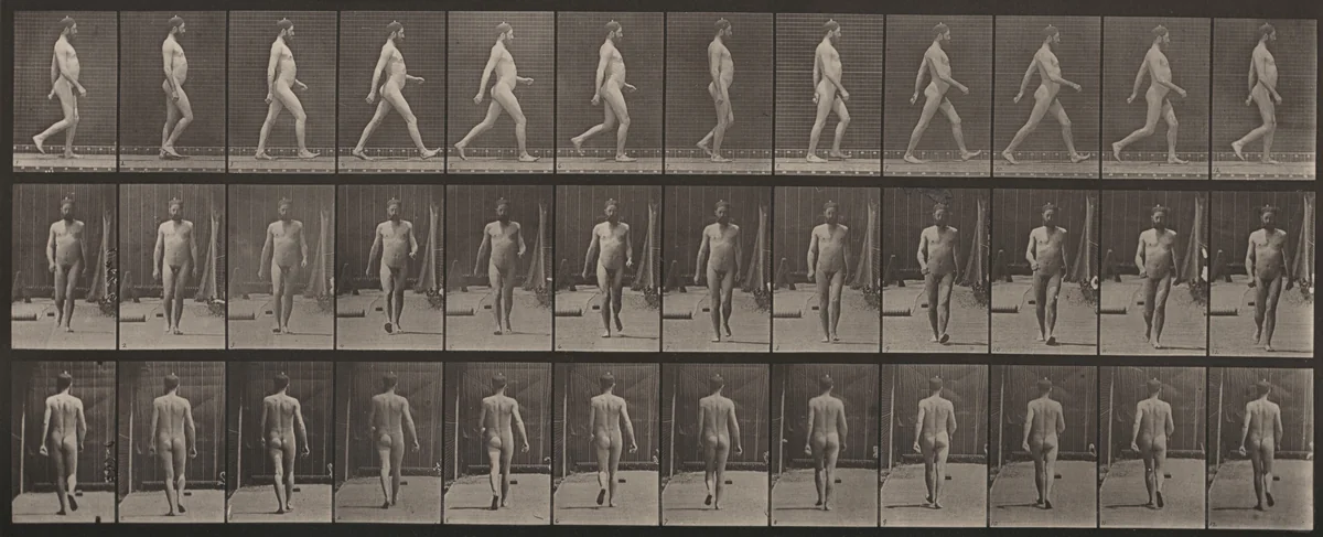 Plate Number 11. Walking by Eadweard Muybridge, photograph, 1887
