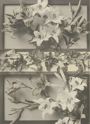 Page from Festons und Dekorative Gruppen by Unidentified Photographer, photograph, 1893