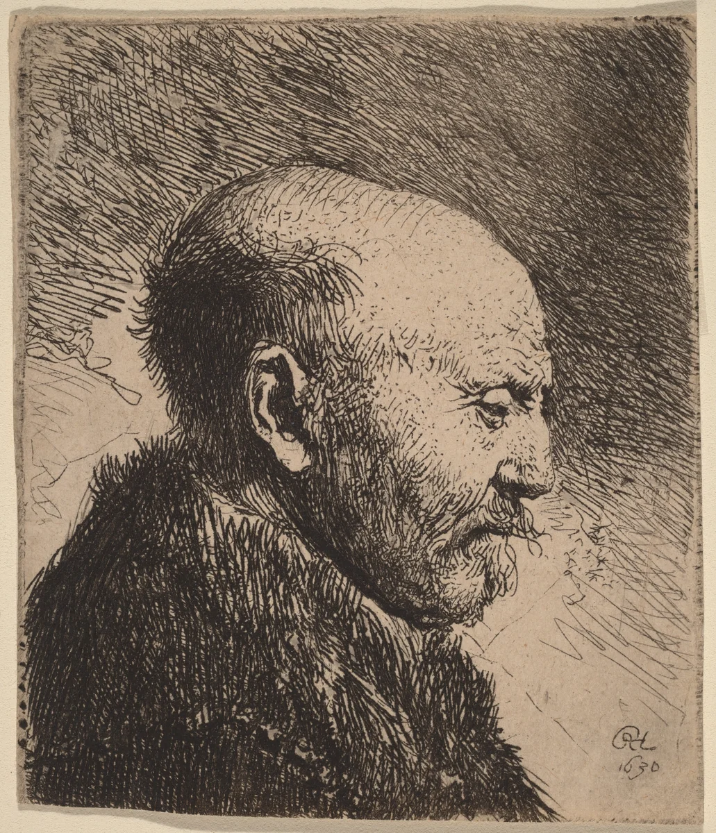 A Bald Man in Profile (The Artist's Father?) by Rembrandt van Rijn, print, 1630
