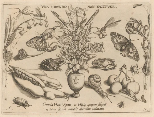 Archetypa studiaque patris Georgii Hoefnagelii [Part 2, Plate 6] by Jacob Hoefnagel; Joris Hoefnagel, print, 1592