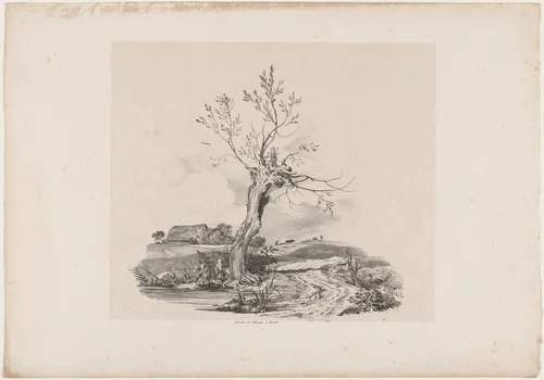 Wild Willow Tree by the Water by Carl August Lebschée; Johannes M. von Hermann, portfolio, 1829