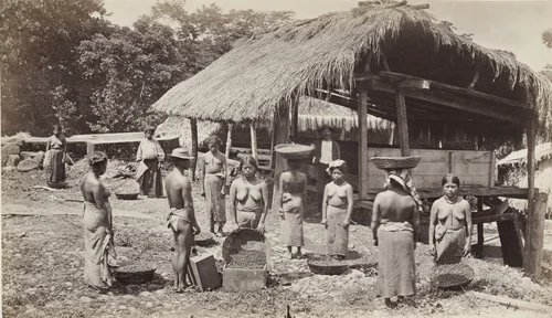 Bringing in the Day's Coffee Harvest, San Isidro by Eadweard Muybridge, photograph, 1875