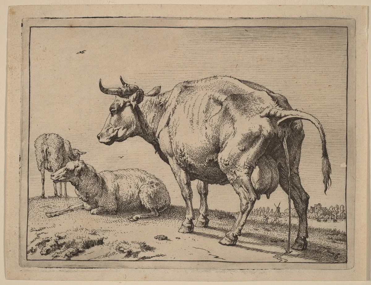 Pissing Cow by Paulus Potter, print, 1650
