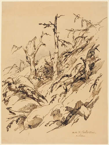 A Rocky Hillside with Dead and Dying Trees by Adolphe Etienne Viollet-Le-Duc, drawing, 1817-1878