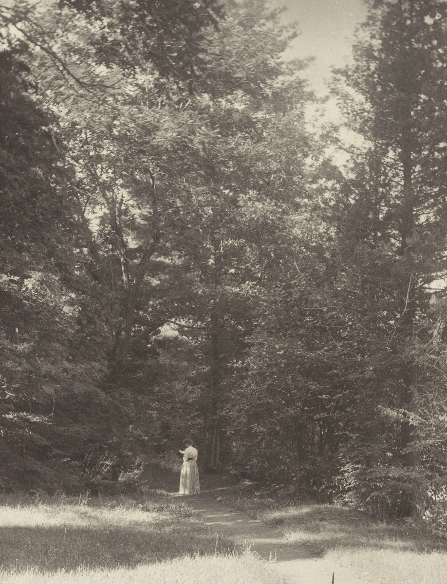 "Hedwigsweg" II, Lake George by Alfred Stieglitz, photograph, 1888