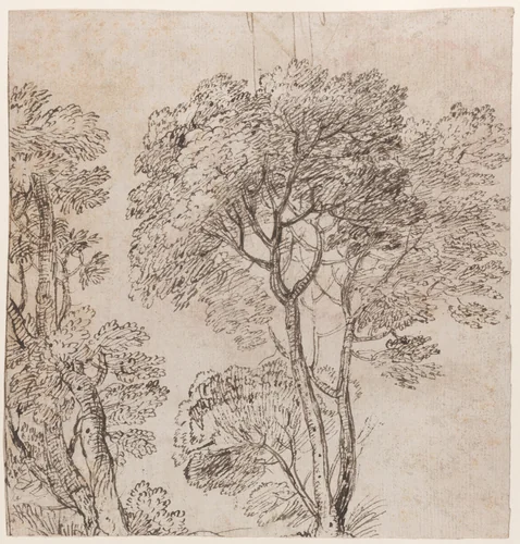 Study of a Group of Trees by Nicolas Poussin, drawing, 1620-1655