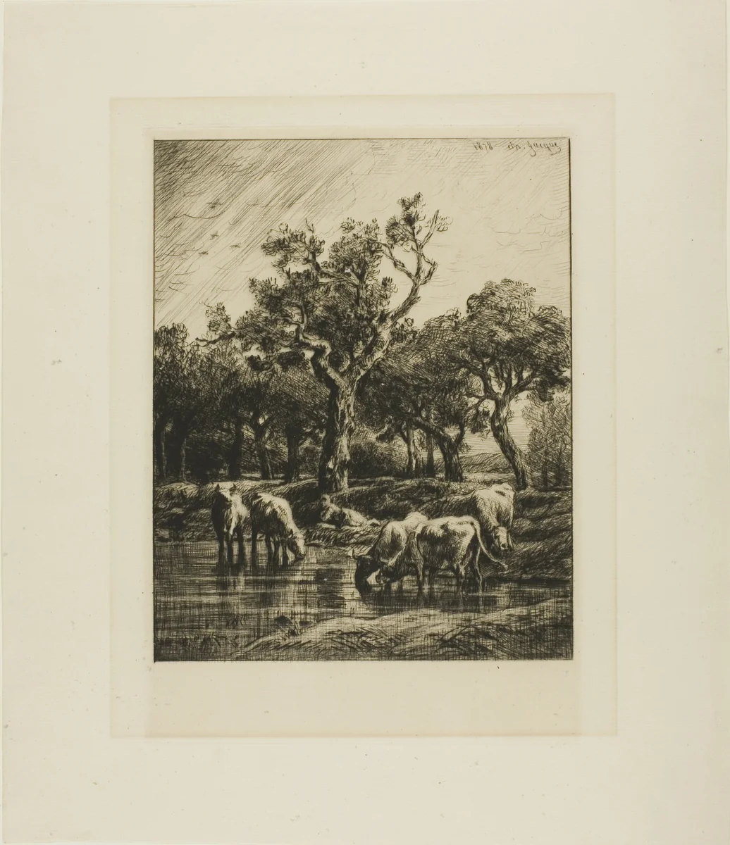 Cows at a Watering Place by Charles-Émile Jacque, print, 1878