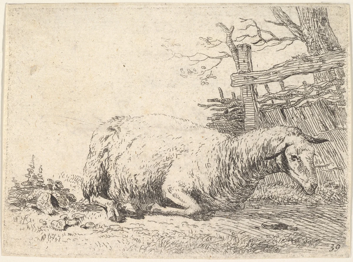 A sheep lying with its legs folded underneath its body next to a wooden fence, the sheep in profile view by Karel Dujardin, print, 1650-1660