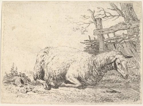 A sheep lying with its legs folded underneath its body next to a wooden fence, the sheep in profile view by Karel Dujardin, print, 1650-1660