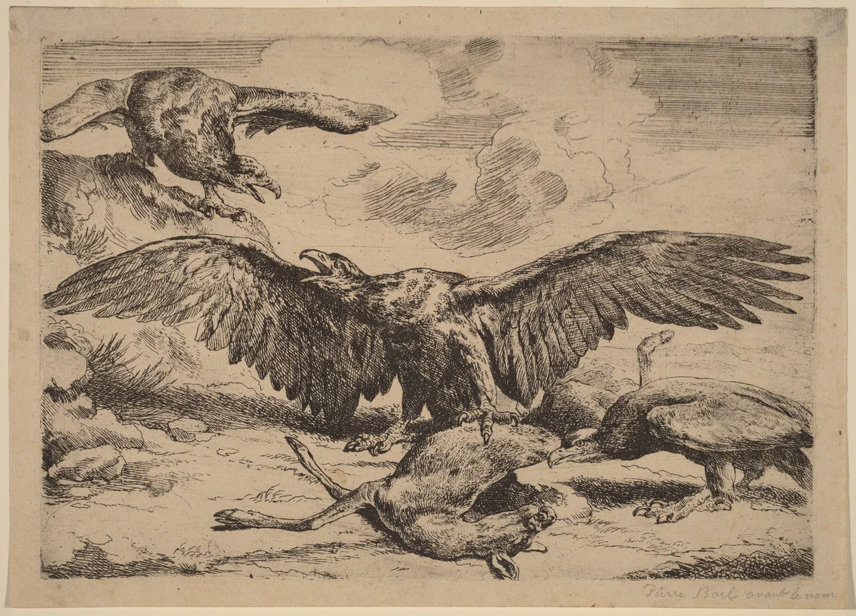 Eagles by Peeter Boel, print, 1622-1674