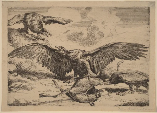Eagles by Peeter Boel, print, 1622-1674