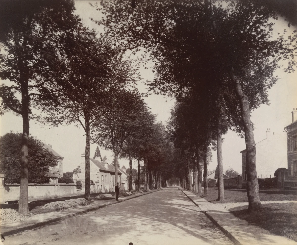 Châtenay, route de Versailles by Eugène Atget, photograph, 1901
