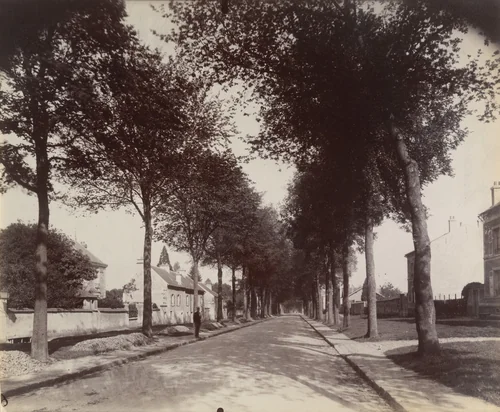 Châtenay, route de Versailles by Eugène Atget, photograph, 1901