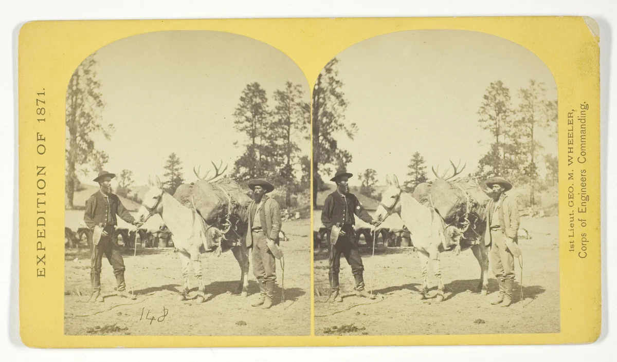 Mountain transportation. Pack mule, Pack and Packers, No. 7 from the series "Geographical Explorations and Surveys West of the 100th Meridian" by Timothy O'Sullivan, photograph, 1871
