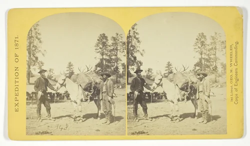 Mountain transportation. Pack mule, Pack and Packers, No. 7 from the series "Geographical Explorations and Surveys West of the 100th Meridian" by Timothy O'Sullivan, photograph, 1871