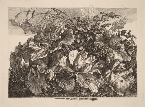 Foliage Study with Reed and Hops by Carl Wilhelm Kolbe, print, 1826-1828