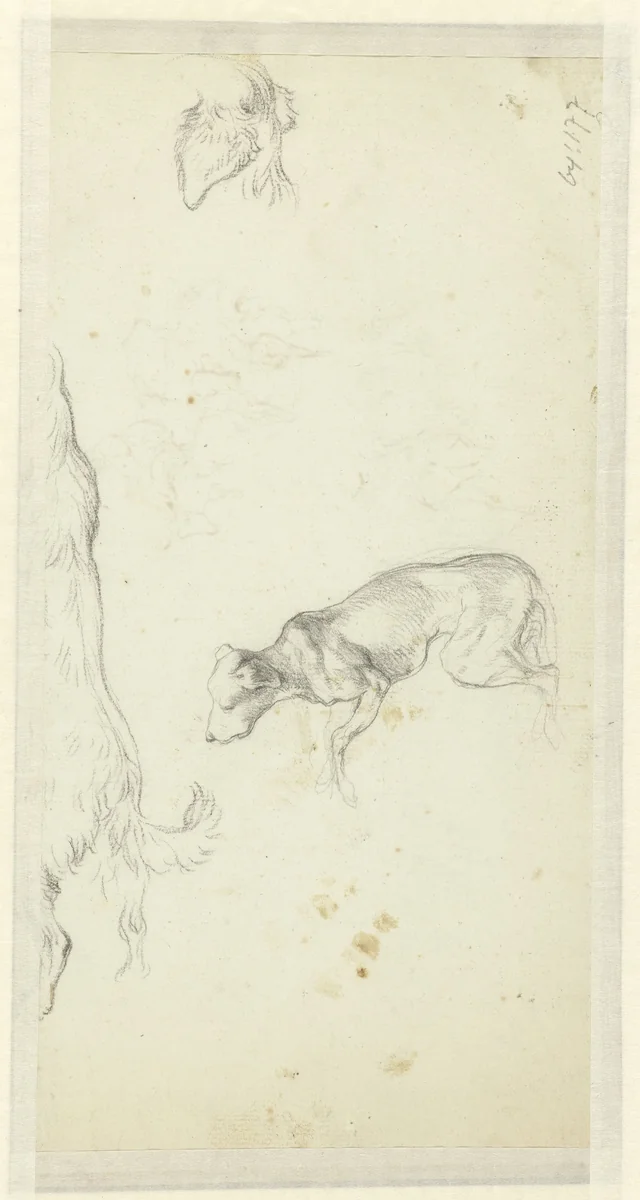 Drie hondenstudies by Jean Louis Demarne, drawing, 1754-1829