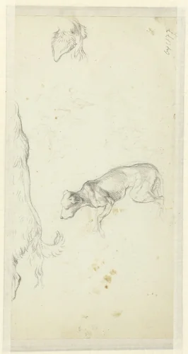 Drie hondenstudies by Jean Louis Demarne, drawing, 1754-1829