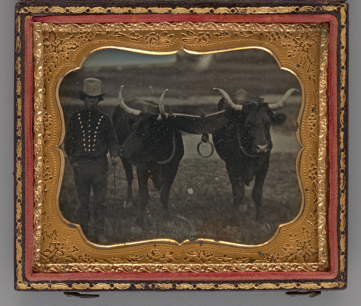 Untitled (Portrait of Man with Two Oxen) by Unknown maker, other, 1852