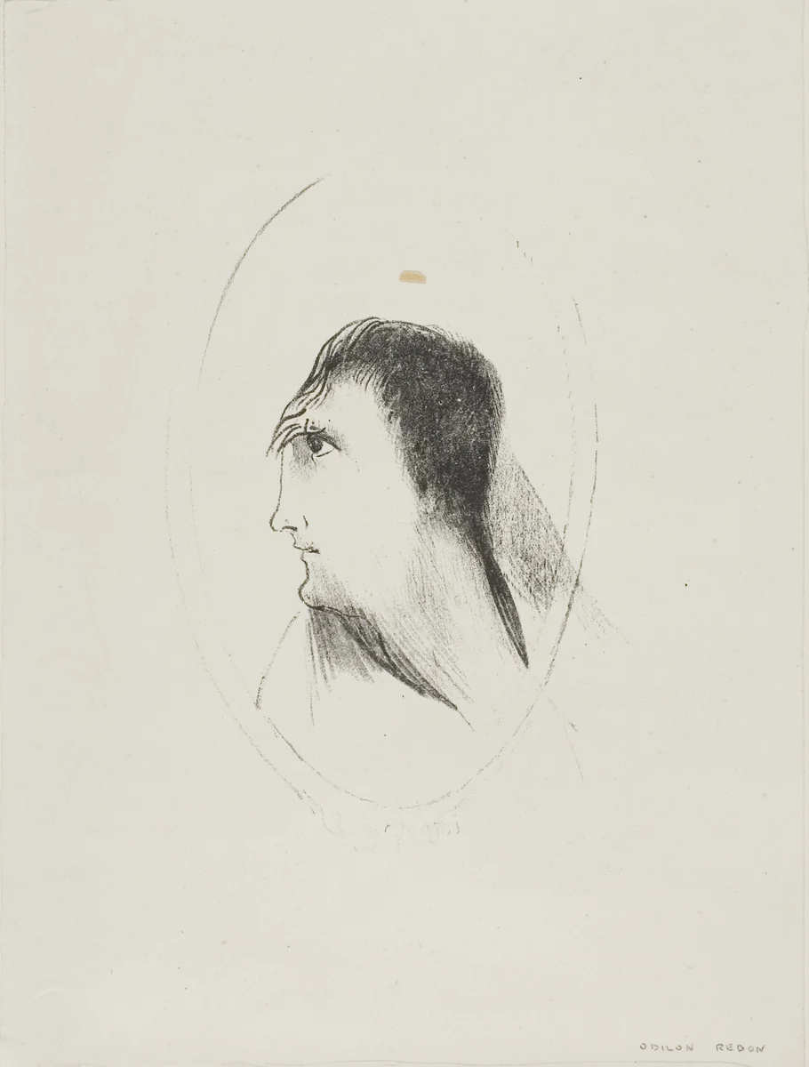 The Width and Flatness of [the] Frontal [Bone], plate 6 of 6 by Odilon Redon, print, 1896