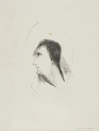 The Width and Flatness of [the] Frontal [Bone], plate 6 of 6 by Odilon Redon, print, 1896