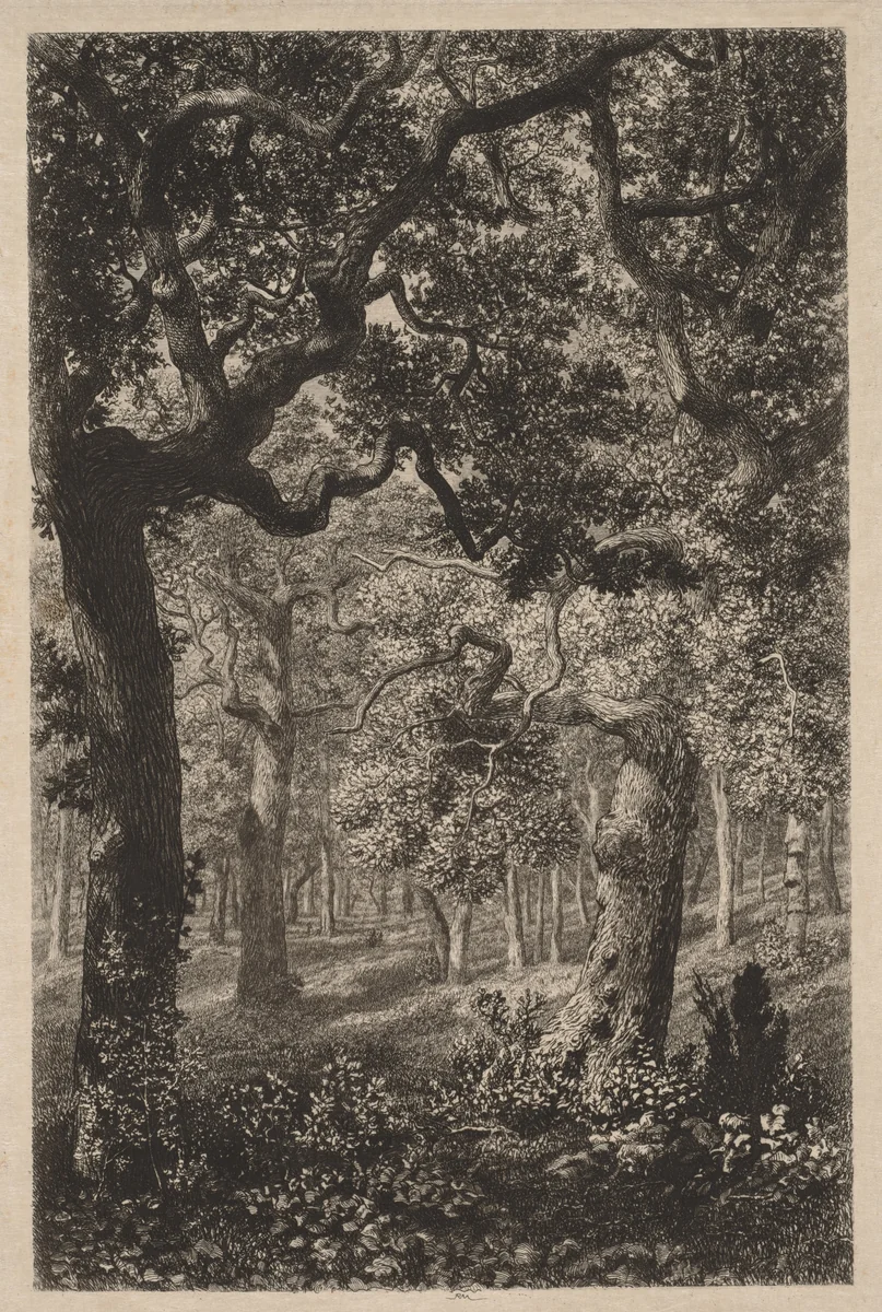 In the Woods by Adolphe Potémont, print, 1865-1875