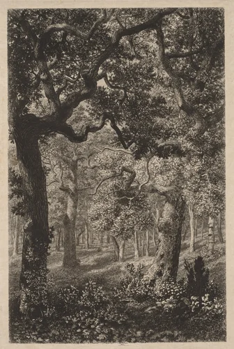 In the Woods by Adolphe Potémont, print, 1865-1875
