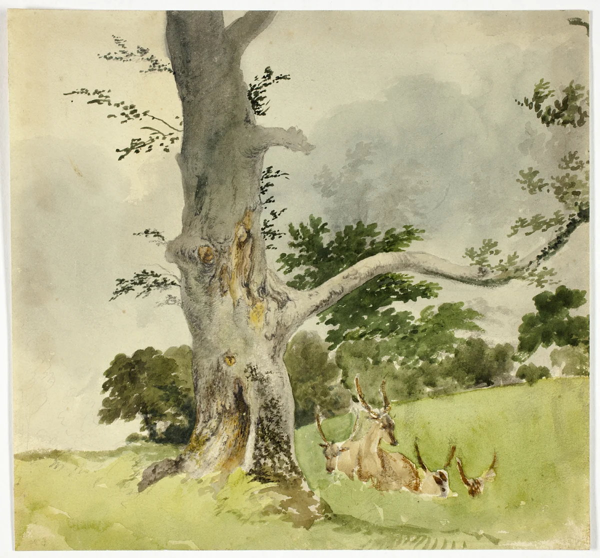 Family of Deer under a Tree by Robert Hills, painting, 1790-1844