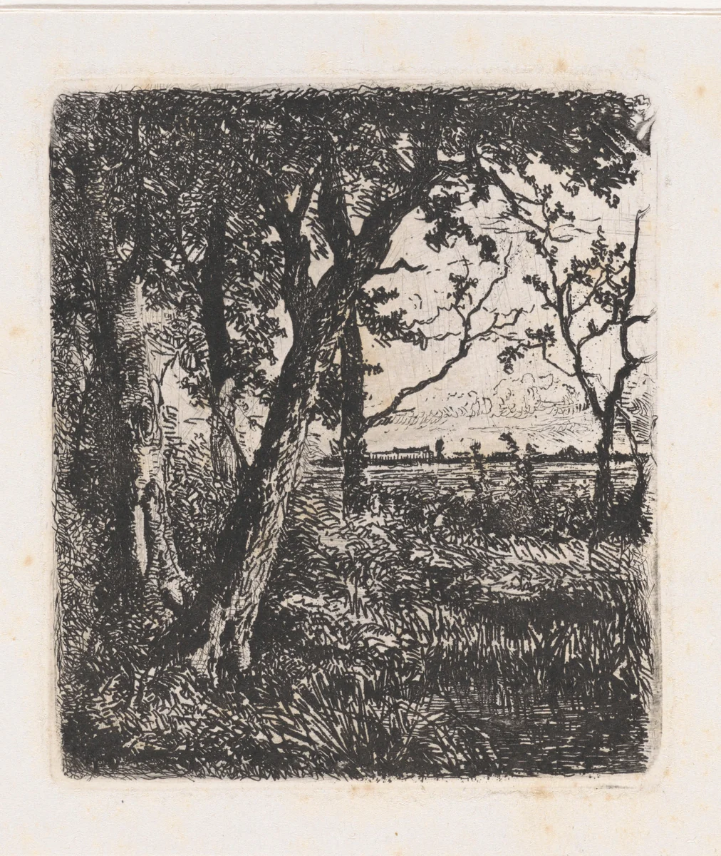 Uitgestrekt landschap met bomen by Augustinus Jacobus Bernardus Wouters, print, 1839-1904