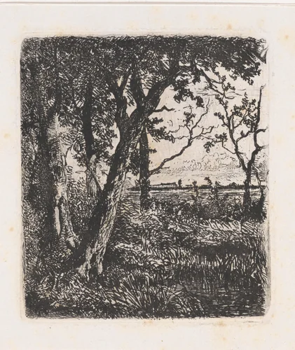 Uitgestrekt landschap met bomen by Augustinus Jacobus Bernardus Wouters, print, 1839-1904